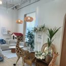 석우리 | 양주 베이정원 솔직후기 프라이빗 독채로 즐기는 공간