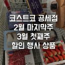닥터크린랜드 | 코스트코 공세점 2월 마지막 주 3월 첫째주 할인 행사 상품