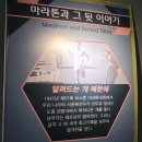 삼척 황영조기념공원을 다녀와서 이미지