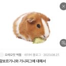 그대와 나 희망 속 어딘가