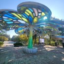 사봉면-2 | 🌿 경남수목원 나들이 후 진주 맛집 추천! 사봉한우촌 차돌폭탄전골 후기 🍲