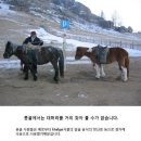 모리아 이미지