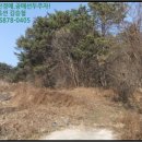 송동면 내사촌마을 이미지