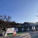 금산1구 | [금산] 만악리 수목원 오토 캠핑장에서 카라반 여행 후기