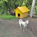 앞뜰농장 이미지