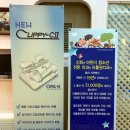 리틀원소아치과치과의원 네이버블로그