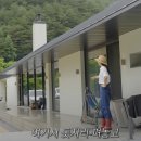 홍천군 야생동물 임시보호시설 | 한혜진 홍천 별장 망한 후기 비용