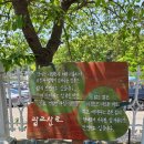 대야농장 | 광교산 백운주말농장 맛집으로 추천