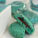 민트파파 이미지