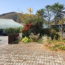 부남면169 이미지