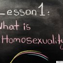 교육부는 '성교육 자료에 동성애 배제' 방침을 유지할 계획이다 이미지