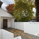 온어데일리 이미지