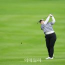 하이로로