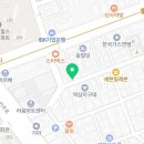 강남 요미독앤캣 강아지 분양 고양이 분양 이미지