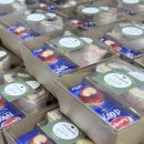 송파위례유치원 | [하남 송파 강동 미사 위례 감일] 샌드위치 단체간식 도시락 납품 은솔유치원 참여수업 후기