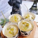 도그리니 이미지