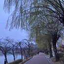 보문호반길 이미지