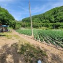 김삿갓면-8 이미지