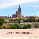 이레컴즈대전센터 | 스페인 도시 이야기 - 살라망카, Salamanca 구도심 여행