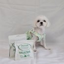 티어리베 이미지