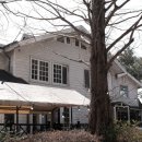 비노하우스더포레스트 | 금정구 카페 / 부산 서동 카페 비노하우스 더포레스트 - [그녀만의 이야기]