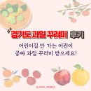 감만어린이집 | 경기도 과일 꾸러미, 가정보육 지원사업