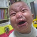 뚜꺼비 PC 이미지