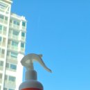 프로텍 앞 | 초파리 없애는법 프로텍홈 스프레이 제거제로 3일만에 초파리퇴치 성공