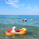 옥계연수원 입구 | [강원도] 강릉 여행 가볼만한곳 한국여성수련원 두번째 예약 물놀이 계곡 체험