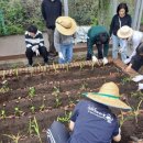 서귀포 온성학교 이미지