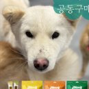 행복한구매2
