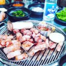 신태백관 이미지