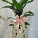 새서울DMC약국 이미지