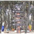 솔마루길 신선산 이미지