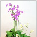 계양아트갤러리 이미지