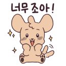 트리트멍멍 이미지