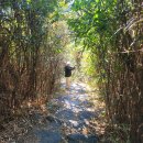 산촌2민박 이미지