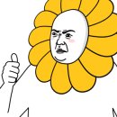 월매식품 네이버블로그