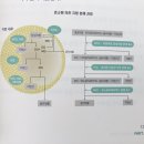 바른 태권도장 이미지