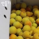 유델라 이미지