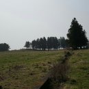 선인목장 이미지