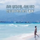 옥빛 이미지
