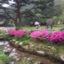 주주펜션 이미지