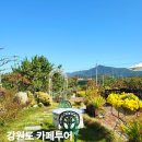 고길천로 | 강원도 평창 카페 여행 가볼만한곳 추천 5곳