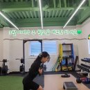 에코피티 이미지