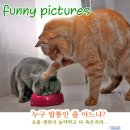 신나는 날 이미지