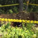 웅촌면보건지소 이미지