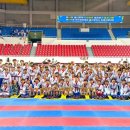 타이탄 새천년태권도 이미지