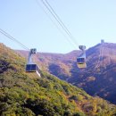 노상하1길 이미지