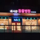 포시즌 동물병원 이미지
